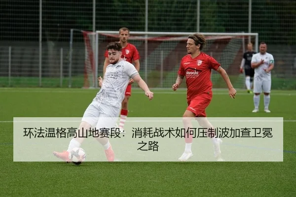huan-fa-wen-ge-gao-shan-di-sai-duan-xiao-hao-zhan-shu-ru-he-ya-zhi-bo-jia-cha-wei-mian-zhi-lu-2-204.jpg